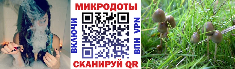 Галлюциногенные грибы мухоморы  Купить где  Певек 